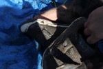 resIMG_20160402_153729_5874.JPG